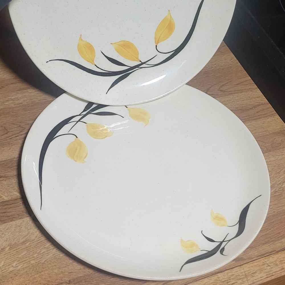 HYCROFT VINTAGE 10" Dinner Plate Set